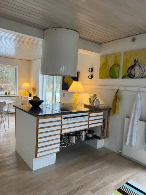 Skont Hus Pa Landet Taet Pa Billund Villa Give Kültér fotó