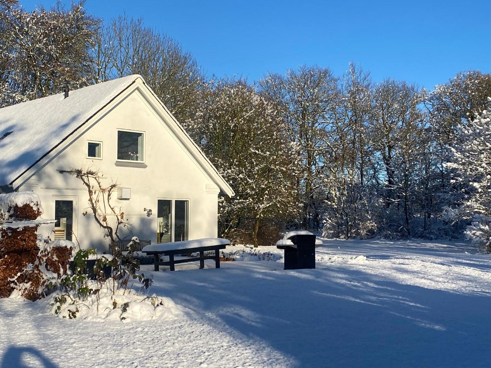 Skont Hus Pa Landet Taet Pa Billund Villa Give Kültér fotó
